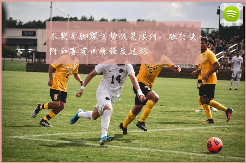 东契奇脚踝伤势恢复顺利,独行侠附加赛前训练强度达标