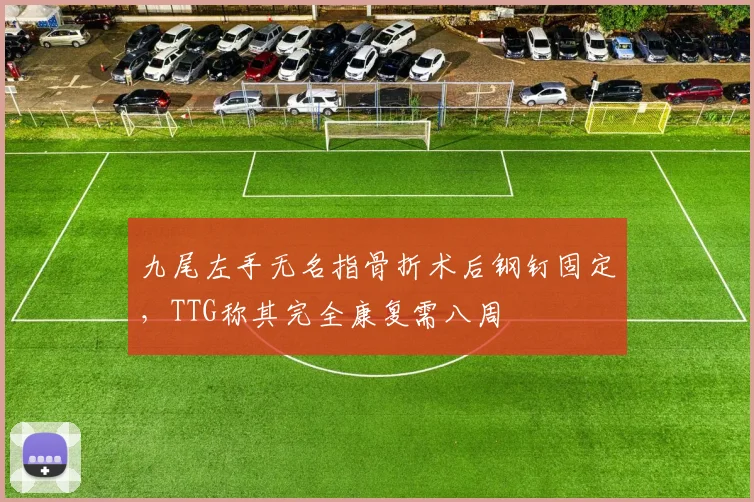 九尾左手无名指骨折术后钢钉固定,TTG称其完全康复需八周